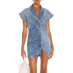 NWT Retrofete Gia Dress in Denim